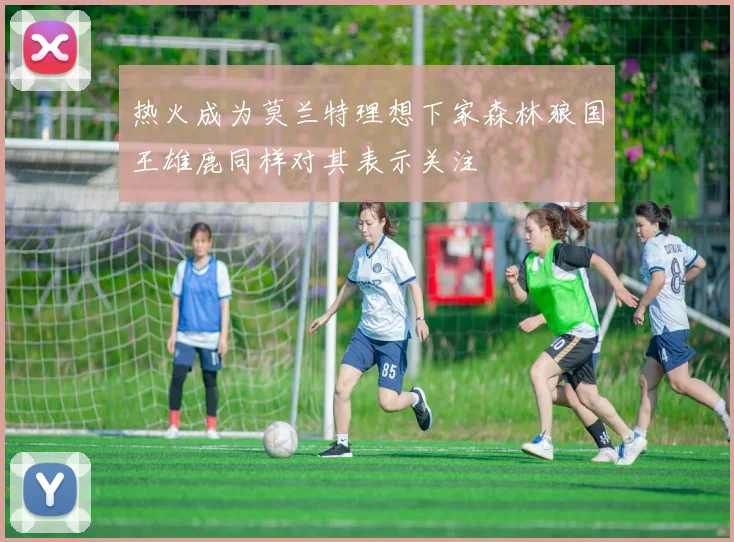 热火成为莫兰特理想下家森林狼国王雄鹿同样对其表示关注