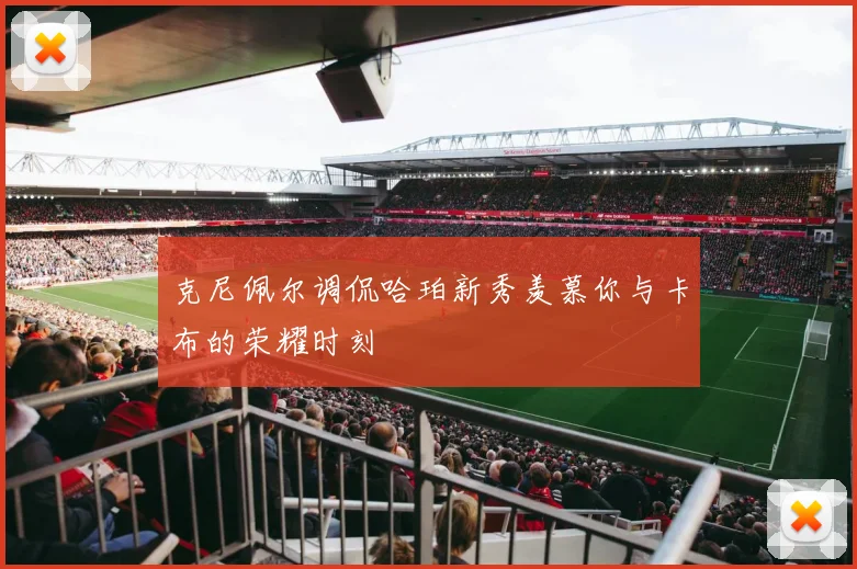 克尼佩尔调侃哈珀新秀羡慕你与卡布的荣耀时刻